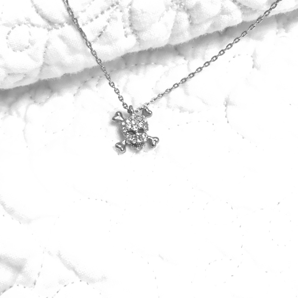 Skull & Crossbones Necklace
